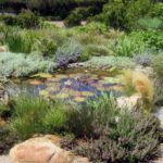 Santa Barbara water garden