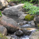 Santa Barbara Creeks