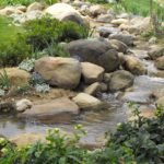 Santa Barbara Man made creek