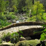 Santa Barbara creeks