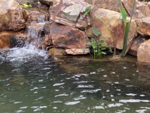Koi pond rock waterfall