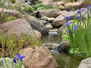 Creeks and Streams