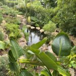 Another Koi pond tucked away in the garden