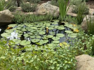 Water Gardens