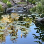 Santa Barbara decorative pond