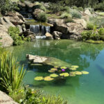 Pond waterfall