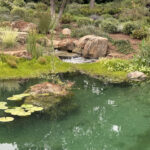 A pretty pond in Montecito, California