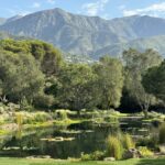 A pretty pond in Montecito, California