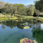 Santa Barbara decorative pond