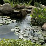 A small koi pond waterfall