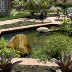 A geometric koi pond